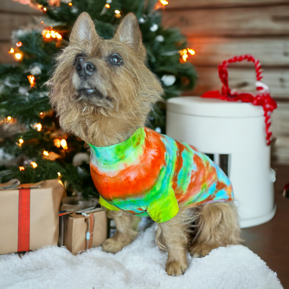 Doggy’s Turtleneck Hand Tie Dyed Size M